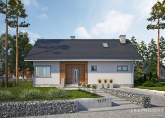Проект дома LK&1177