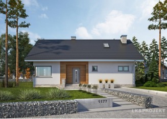 Проект дома LK&1177